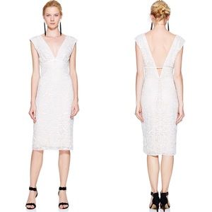 Tadashi Shoji Hortense Lace Dress in Ivory Petal
